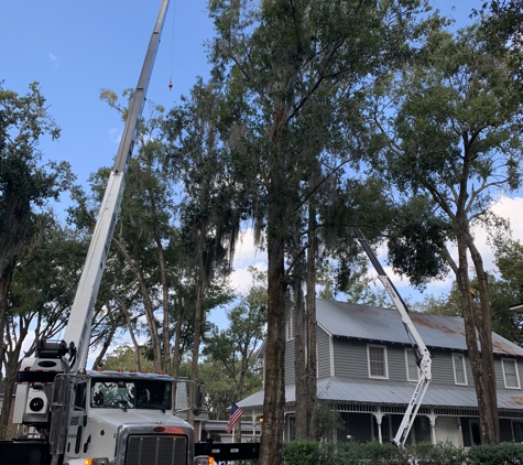 Central Florida ArborCare - Apopka, FL