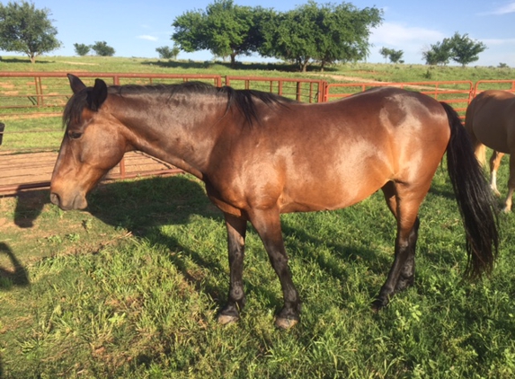 Old Caldwell Trail Stables - Fay, OK