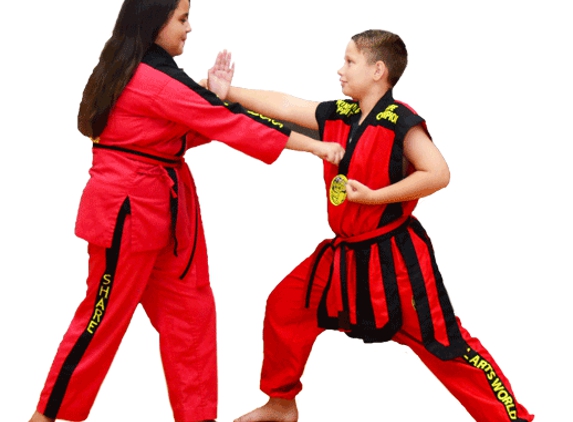 Miss T Martial Arts - Orlando, FL. Martial Arts for Kids