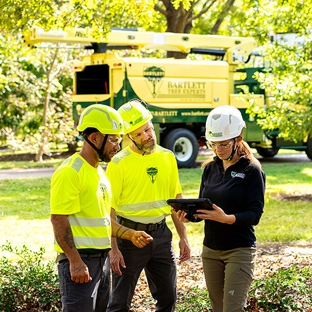 Bartlett Tree Experts - York, PA - York, PA