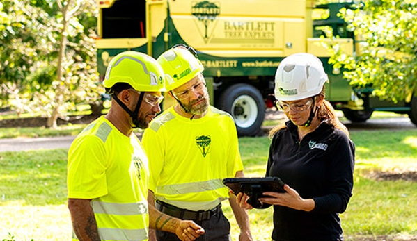 Bartlett Tree Experts - Dublin, PA