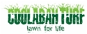 Coolabah Turf Instant Lawn - Landscape Supplies