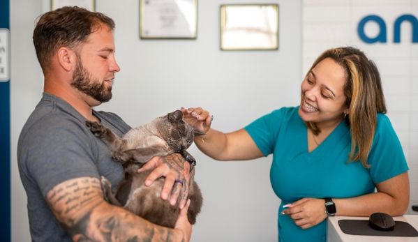 Livewell Animal Hospital of Riverview - Riverview, FL