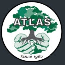 Atlas  Tree Service Inc. - Stump Removal & Grinding