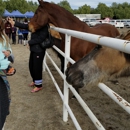 The Gentle Barn - Petting Zoos