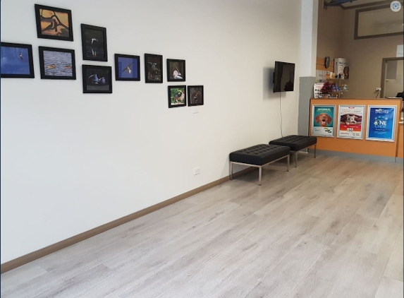 South Coast Veterinary Hospital - Kiama, NSW