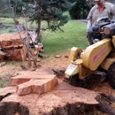 Stumpbgone - Stump Removal & Grinding