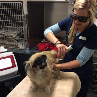 Fairgrounds Animal Hospital - Reno, NV. Laser Therapy for your pets