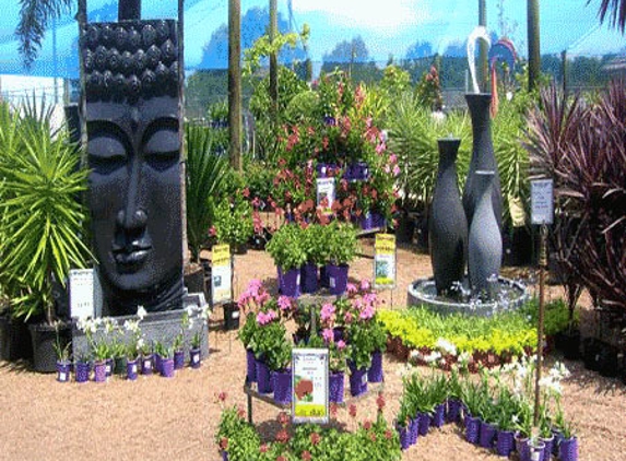 Bundaberg Wholesale Palms & Plants - Woongarra, QLD