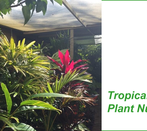 Premier Palms Nursery - Mariginiup, WA. Tropical Plant Nursery