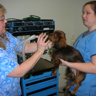 Aaron  Animal Clinic - Parma, OH