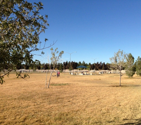 Barkin' Basin Dog Park - Las Vegas, NV