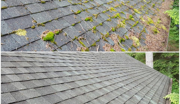 Moss Defender roof and gutter cleaning LLC - Sultan, WA