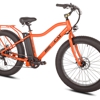 Big Cat Electric Bicycles gallery