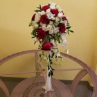 Rose Shop - Ecuadorian Roses
