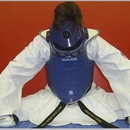Champion Taekwondo - Self Defense Instruction & Equipment