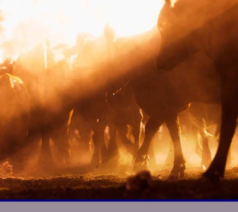 MIS Insurance Brokers - Newtown, QLD. We Are A Commercial And Rural Insurance Broker