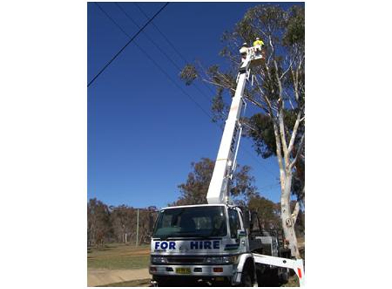 Sapphire Coast Tree Service & Tower Hire - South Pambula, NSW
