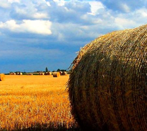 Mid-West Farm Management Inc - Hastings, NE