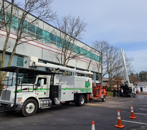 B&R Tree Service - Charlton, MA