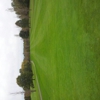 Manada Golf Club gallery