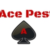 Ace Pest gallery