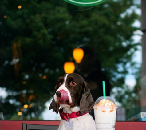 Starbucks Coffee - York, PA