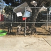 Downey Animal Care Center gallery