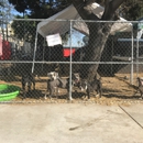 La Habra Heights - Animal Shelters