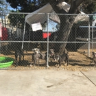 Downey Animal Care Center