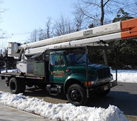 Becker's Tree Service - Tinton Falls, NJ