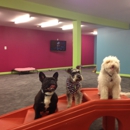 Noah's Pet Hotel and Spa - Pet Services