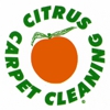 Mays Landing Organic Carpet Cleaning gallery