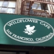 Wildflower Cafe