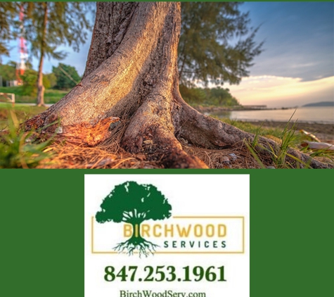 Birchwood Tree Services - Arlington Heights, IL