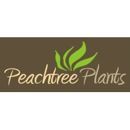 Peachtree Plants - Artificial Flowers, Plants & Trees
