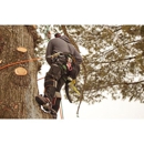Elite Tree Care - Tree Service
