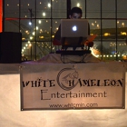 White Chameleon Entertainment