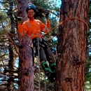 Chucks Tree Service - Arborists
