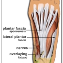 American Foot Clinic - Physicians & Surgeons, Podiatrists