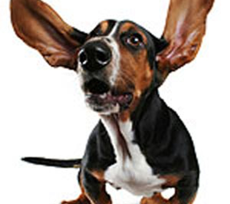 Aussie Pet & Animal Travel - Greenbank, QLD