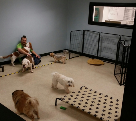 The Grooming Room - Goose Creek, SC. Small dog play area