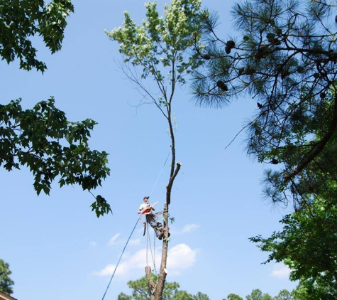 Daniel's Tree Service - Gaston, SC