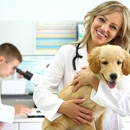 The Corner Vet - Veterinarians