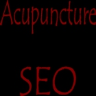 Acupuncture SEO