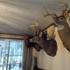 Sportsman Taxidermist gallery