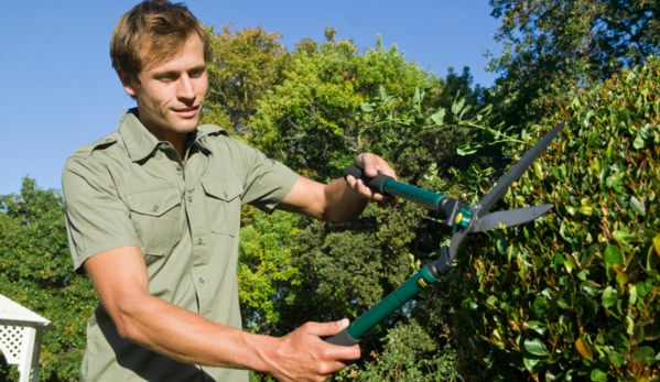 Termite Lawn And Pest, Inc - Winter Garden, FL