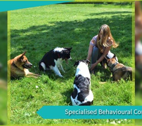 Paradise Pet Parks - Falls Creek, NSW