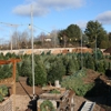 Mustard Seed Landscaping & Garden Center gallery