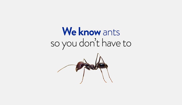 Termitrust Pest Control Experts - Kunda Park, QLD